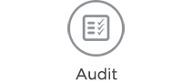 audit - South Wales